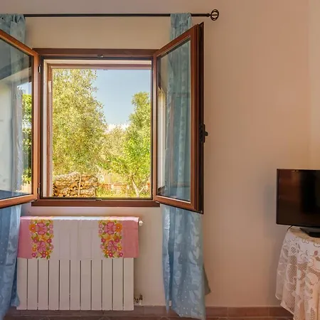 Sara's Olbia